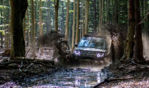 Synthetic Marine Wheel Bearing Grease 10 SUV driving through a watery forest.