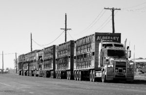 Road train semi truck.