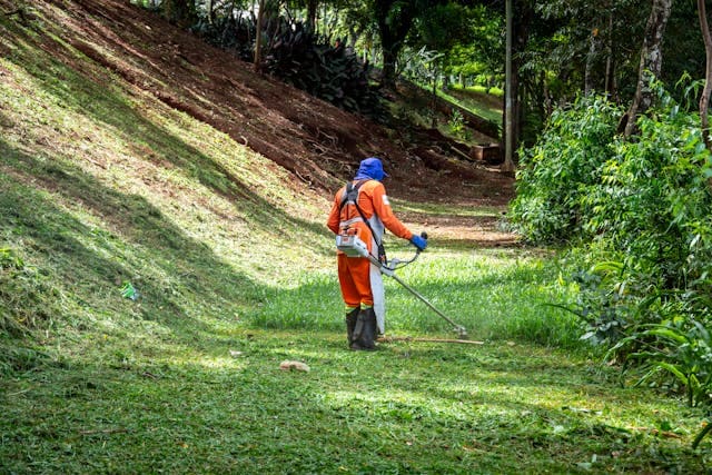 Featured image for "Unveiling the Best 2 Stroke Oil for Weed Wackers: AMSOIL SABER® Professional" blog post. Landscaping weed whacker.